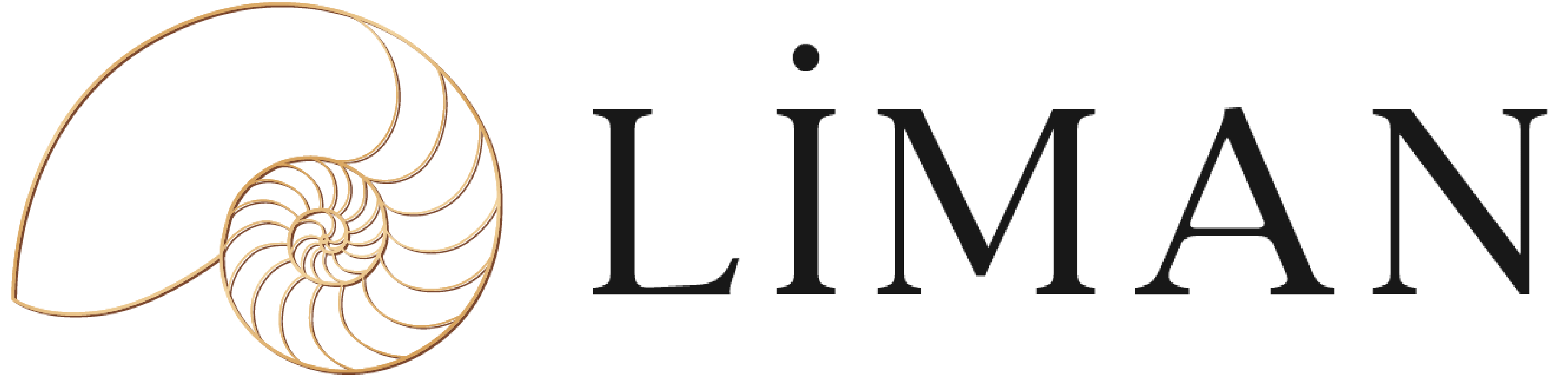 Liman Online Psikoterapi